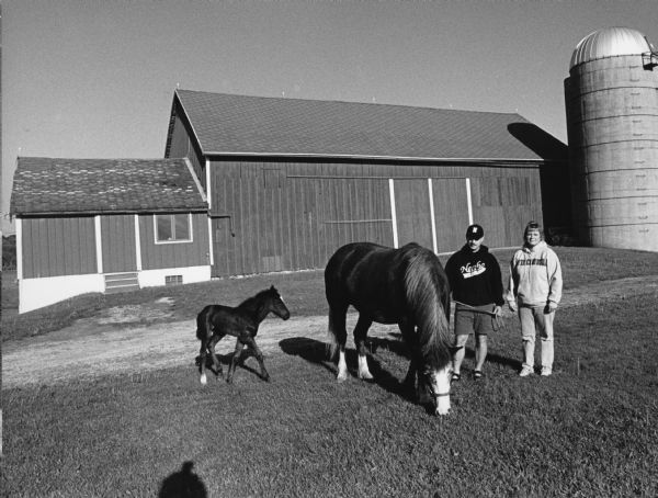 Norm and Renee Petri show off some beautiful horses, Ellie, and Hailey, the foal. The Petris live at W2081 Cty TW.