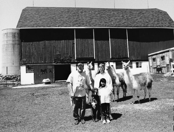 Dale and Pam Dyer with Elisa (8) and Napoleon, the dog, live at N7863 Hwy P (Section 27). The Dyers, who moved here in 1989, have a host of animals, including llamas. The barn was built in 1902.