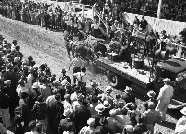 Elevated view over crowd of a horse pulling contest at a county fair. A man is sitting on the back of a truck bed driving two horses on what appears to be a race track.