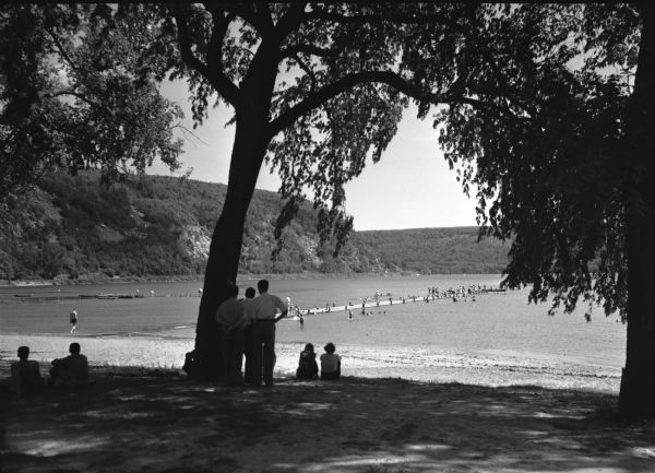 A view of several people sitting and standing under a tree in front of a beach area at Devil's Lake State Park. People are swimming and wading in the water near a long  pier in the background.