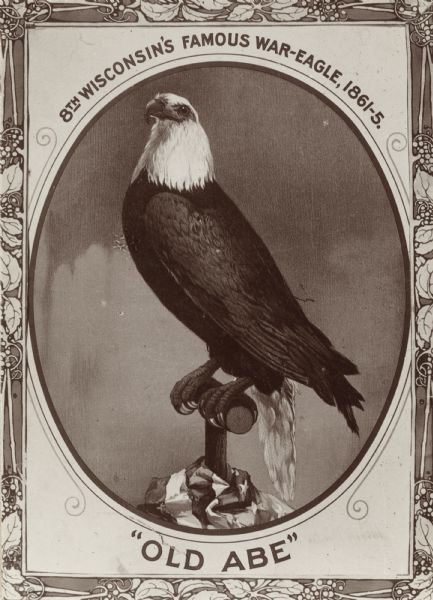 Vintage portrait print of Old Abe, 8th Wisconsin Volunteer Regiment's eagle mascot. The print reads at the top, "8th Wisconsin's Famous War-Eagle, 1861-5" and at the bottom, "Old Abe". An American flag is wrapped around Old Abe's perch and the border of the print features leaves and berries.