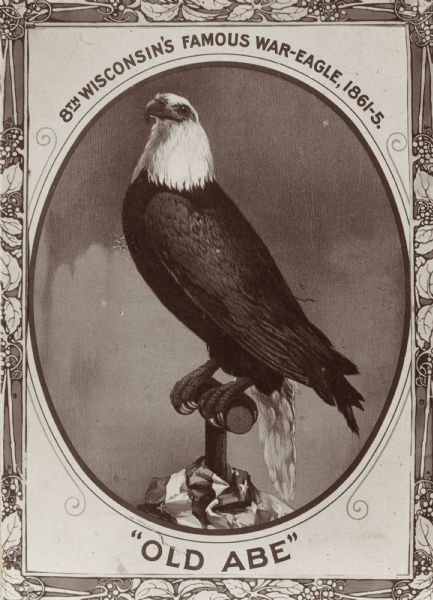 Vintage portrait print of Old Abe, 8th Wisconsin Volunteer Regiment's eagle mascot.  The print reads at the top, "8th Wisconsin's Famous War-Eagle, 1861-5" and at the bottom, "Old Abe".  An American flag is wrapped around Old Abe's perch and the border of the print features leaves and berries.