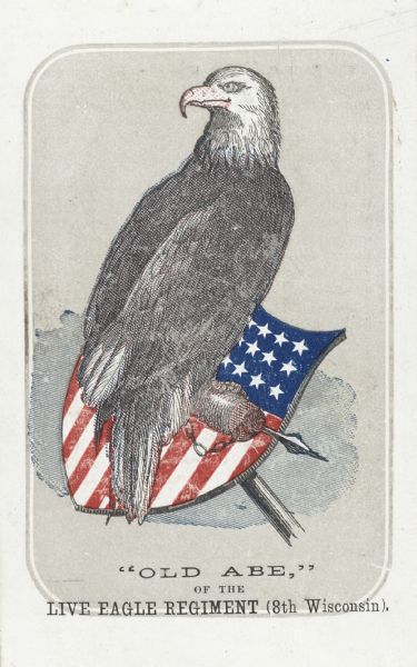 Old Abe, eagle mascot of the 8th Wisconsin Regiment.  Popular cards sold in great quantities as benefit items ($9 per 100), so great was this bird's fame.

Card features Old Abe perched on a shield with the American stars and stripes painted on it.  At the bottom of the card it reads " Old Abe of the Live Eagle Regiment (8th Wisconsin)".  

Image republished by Ella E. Gibson for the benefit of Charles Russell Lowell Encampment, Post 7, G.A.R., at their Fair, March 1, 1870.