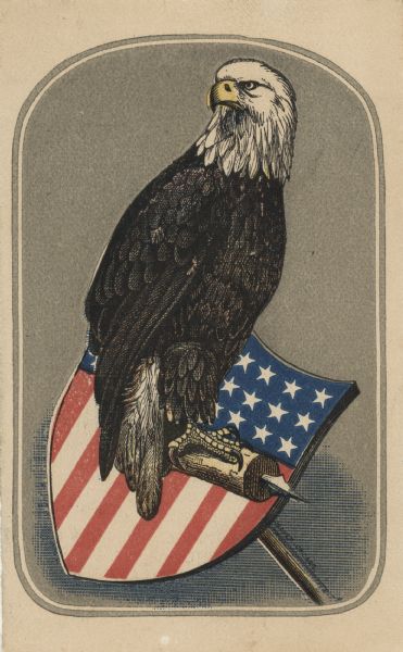Old Abe, eagle mascot of the 8th Wisconsin Regiment, 1865 or 1870. Popular cards sold in great quantities as benefit items ($9 per 100), so great was this bird's fame. Old Abe is perched on a shield with the American stars and stripes painted on it. Card published by Alfred L. Sewell, Dunlap, Sewell & Spaulding, Chicago, from a photograph made in March, 1865.