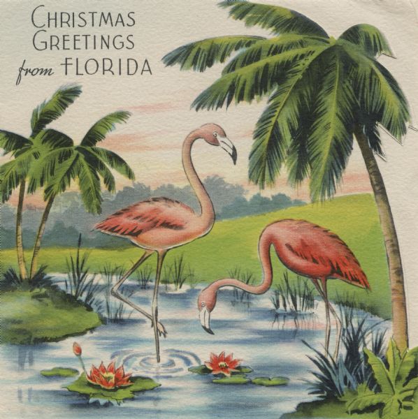 Holiday card with two flamingos standing in a stream with water lilies. Palm trees are on the banks. The right edge is die cut.