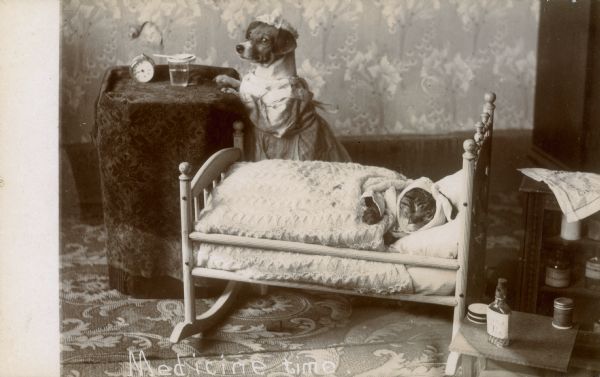 Photographic postcard of the Middleton family dog, Tootsie, dressed as a nurse, attending to Tommy the cat, who rests in a doll cradle. A bottle of "Catnip Tea" sits on the bedside table. Caption reads: "Medicine time."