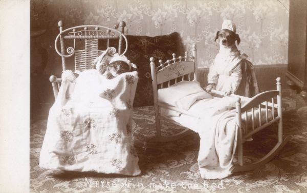 Photographic postcard of the Middleton family dog, in nurse's dress and cap, straightening the bedding on a doll cradle as the cat sits in a chair, bandaged and covered with a blanket.