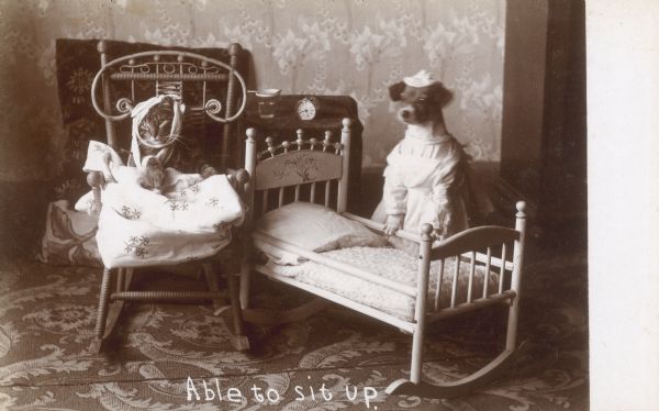 Photographic postcard of a cat, with head bandaged and foreleg in a sling, sitting in a rocking chair, as Tootsie the dog, dressed as a  nurse, is standing with front paws on the side rail of a doll cradle. Caption reads: "Able to sit up."