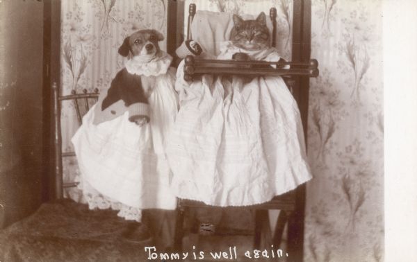 Photographic postcard of Tommy the cat sitting in a high chair as Tootsie, the dog, stands alongside. Both wear long dresses; the dog also wears a cardigan sweater.