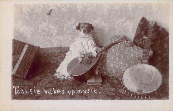 Photographic postcard of Tootsie the dog, wearing a dress and holding a mandolin while sitting on a daybed. A banjo, marked "Joker," and zither are propped up on either side.