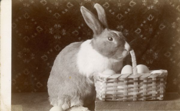 A rabbit poses with a basket of eggs.