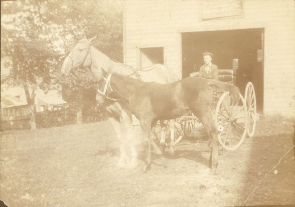 A colt stands next to a horse harnessed to a carriage driven by Forest Middleton. A large barn or outbuilding is behind him.