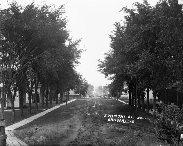 View down Johnson street, which is a muddy, dirt road. There are rows of houses and trees on either side. In the far distance is a Catholic church.