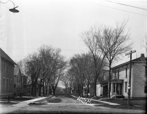 View down South Street. Houses and trees line both sides of the road. Two trees on the left have had all their branches cut. There is a streetlight in the top-left corner, and a fireplug near the sidewalk.