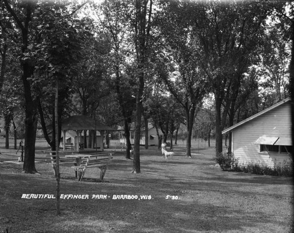 A woman stands with two white dogs among the trees at Effinger Park. The park features benches, a pump, a lawn swing, a gazebo and three cabins.