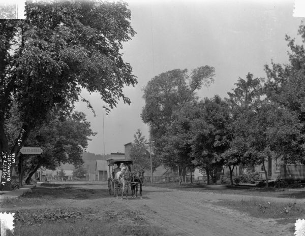View down road towards a man and woman riding in a carriage pulled by a team of horses past the City Hotel.