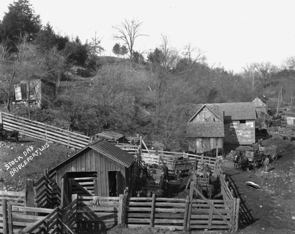 Elevated view of horses and wagons being prepared on Stock Day. There is a steep hill with trees behind farm buildings.