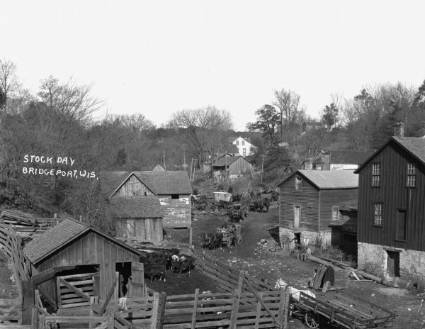 Elevated view of horses and wagons on the road at Stock Day. There is a cattle pen in the foreground.