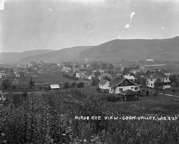 View of Coon Valley. Tall plants cover the lower portion of the frame. The landscape is includes homes, fields, and hills.