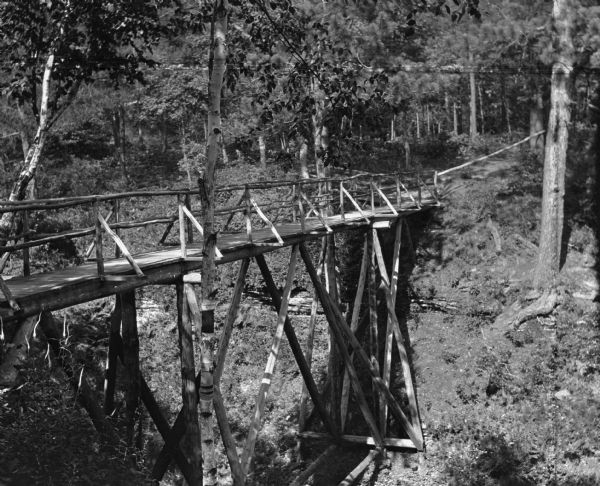 A high wooden pedestrian bridge along a forest path, crossing over a deep gorge.