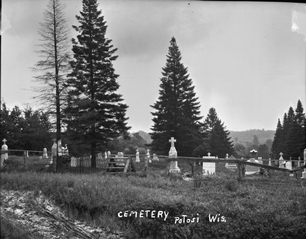 A view of a cemetery with stone grave markers among pine trees. A barbed wire fence surrounds the perimeter. Wooden steps go over the fence next to the gate.