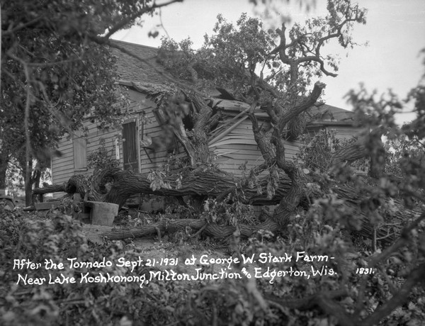 Tornado damage showing a broken, twisted tree laying on the ground and on the roof of a farmhouse. The roof and wall have been crushed.