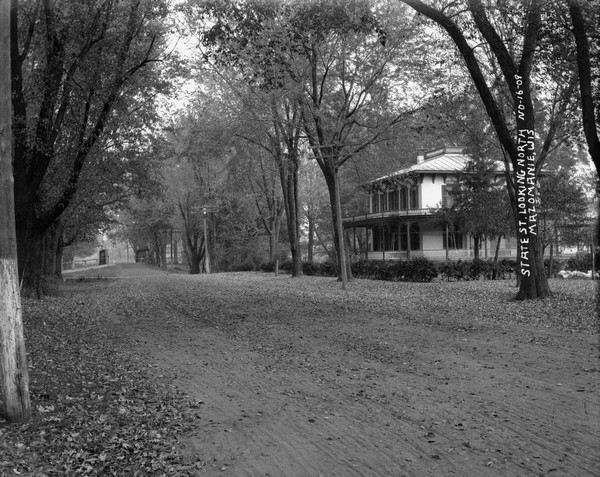 View down tree-lined street with a bridge at the far end. There is a large house with a balcony and wrap-around porch on the other side of the road. A flock of chickens is gathered on the lawn on the far right.