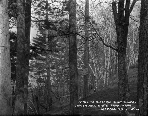 View down trail along steep hill in the woods with birch and pine trees. A sign posted on a tree reads: "To The Cave."