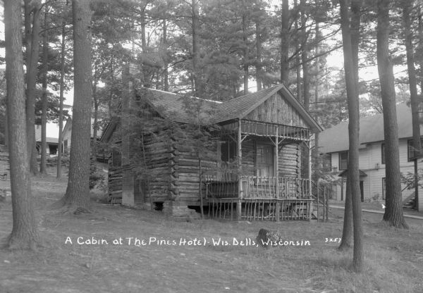 Guest log cabin on the side of a hill at the Pines Hotel, surrounded by pines.