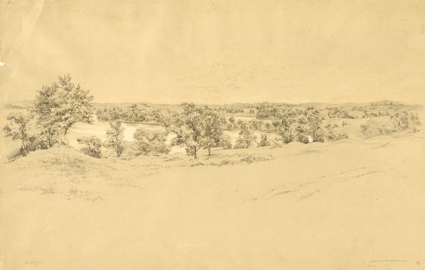 Pencil drawing of trees around the shore of a lake from across a field.