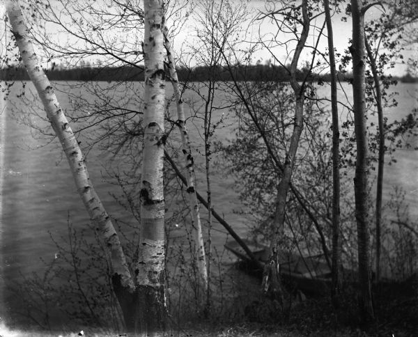 Round Lake with birch trees on shore in foreground and a rowboat pulled up to shoreline.
