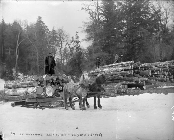 A man stands atop a sled load of logs drawn by two horses at Hein's Logging Camp. Several other men stand atop large pile of logs behind him. Snow lies on the ground, and in the background is a forest.