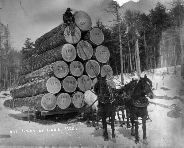 A man sits atop a very high load of logs on a sled pulled by three horses. There is snow on the ground. Numbers are written on the cut ends of the logs.