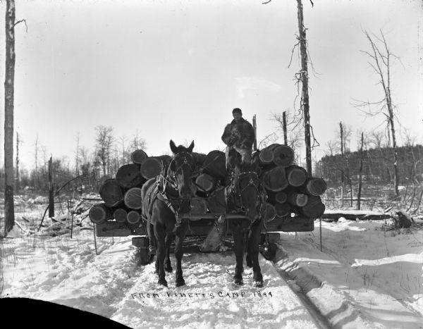 Front view of a man holding the reins of two horses hitched to a sled loaded with logs on a snowy path in or near Vinette's logging camp.