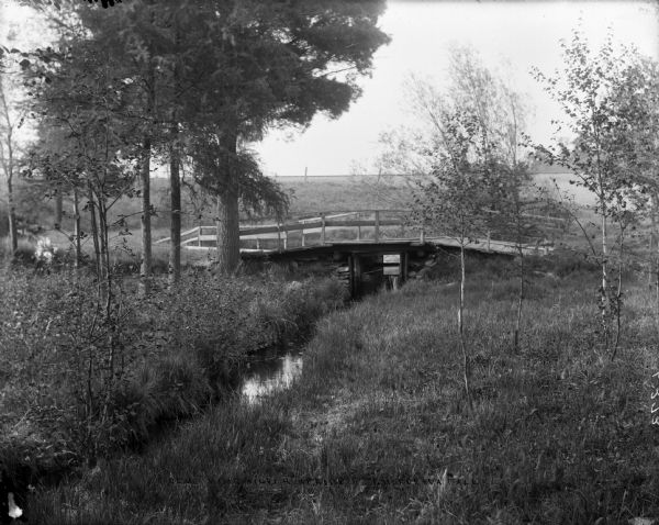 A bridge across a small creek in Silver Springs Park. Some birch and pine trees are nearby.