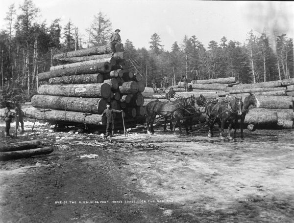Numerous men stand on and around a large pile of logs and a sled stacked with logs pulled by four horses at the C & M Ry Company's camp. There is snow on the ground.