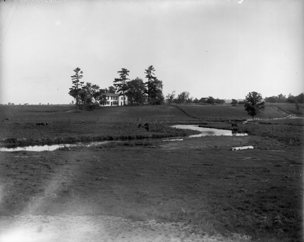 The Richardson Farm stands at the far edge of a farm field with a creek running through it and animals grazing. The farmhouse is white and surrounded by trees. The farm outbuildings are hidden behind the trees.