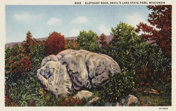 Colorized postcard of the rock formation called Elephant Rock in Devil's Lake State Park. Trees, shrubs and foliage can be seen all around. Bluffs and sky are visible in the background. The text above reads "Elephant Rock, Devil's Lake State Park, Wisconsin."