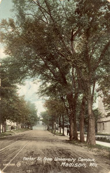 Colorized postcard of Park[er] Street and the West End of the State Historical Library, now the headquarters building of the Wisconsin Historical Society. Park Street is still a dirt road. Lake Mendota is visible at the end of the street through the trees. Of interest, the text at the foot reads "Parker St. from University Campus, Madison, Wis. It is assumed that the printer, in Great Britain, spelled the name wrong.