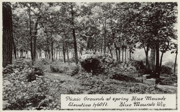 Photographic postcard of picnic grounds at a spring in Blue Mounds State Park. The spring is running out of a brick catch basin on the right. A woman wearing a polka dot dress and beret is standing on a boulder in the center of the picture. Trees and foliage can be seen throughout. Text in a white box on the lower right reads "Picnic Grounds at spring, Blue Mounds, Elevation 1760 ft. Blue Mounds, Wis."
