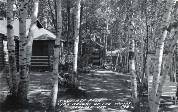 Photographic postcard of a cottage path at Syd's Resort of the Woods. Many cottages can be seen through the trees, and a lawn swing is on the right. Many of the trees are white or paper birch.