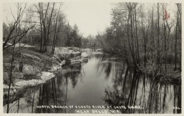 Photographic postcard view up the river. The trees along the shoreline are reflected in the water. Caption reads: "North Branch of the Oconto River at Chute Lake, Near Breed, Wis."