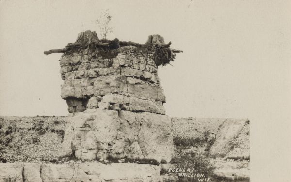 Photographic postcard of a rock formation with two tree stumps and plants on top. Gravel and scrub vegetation are in the background. Text below reads: "Scene at Brillion, Wis."