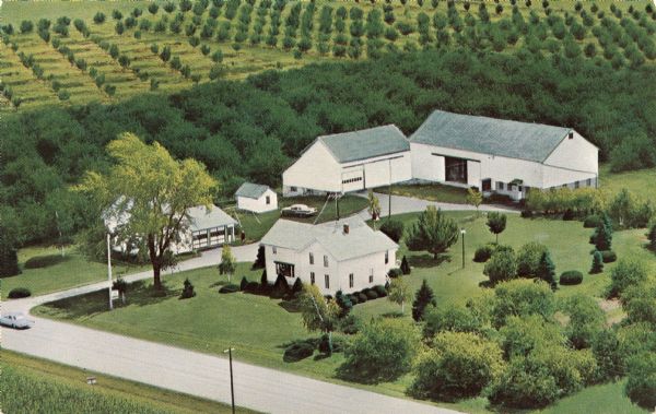 Color postcard of an aerial view of Pieper's Fruit Farm. The apple orchards are behind the farmhouse and outbuildings.