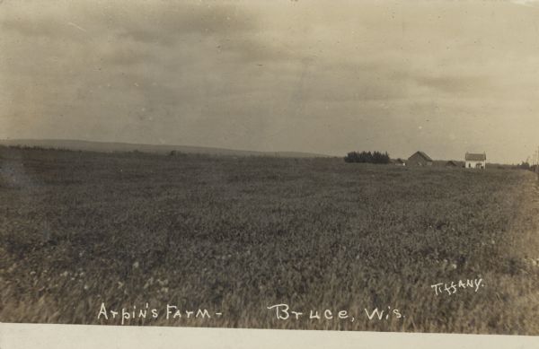 Photographic postcard across field towards Arpin's Farm. The farm is in the distance. On the extreme right is a row of power lines stretching to the horizon. Caption reads: "Arpin's Farm — Bruce, Wis. Tiffany."