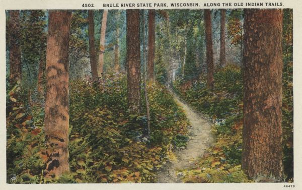 Colorized postcard of a hiking trail winding through the forest. Some trees are showing autumn color. Caption reads: "Brule River State Park, Wisconsin. Along the Old Indian Trails."