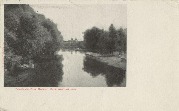 Black and white postcard of a view of the Fox River as it flows through Burlington. The shoreline is wooded. Red text below reads: "View of Fox River, Burlington, Wis."