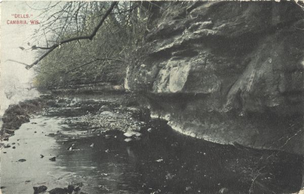 Colorized postcard of the Dells near Cambria. Text in upper left corner reads "'Dells,' Cambria, Wis."