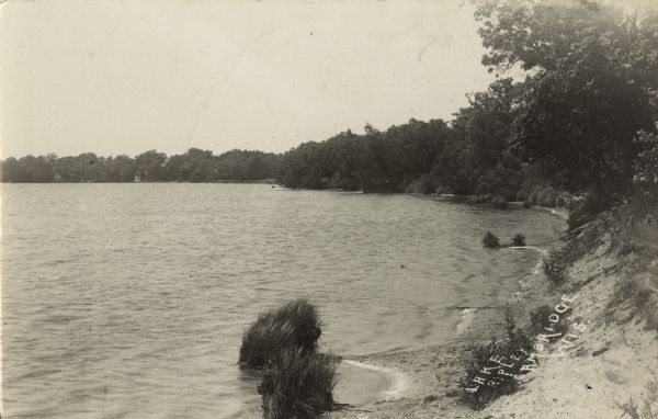 Photographic postcard of Lake Ripley. Trees are along the shoreline, with sand on the lower right.