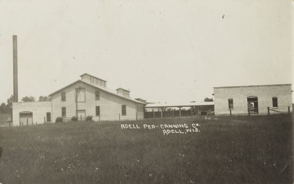 Photographic postcard of the Adell Canning Company, used for canning peas. View of canning buildings with an open field in the foreground. Caption reads: "Adell Pea-Canning Company, Adell, Wis."